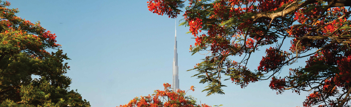 Dubai Mid-Year Residential & Office Market Update H1 2026 (image)