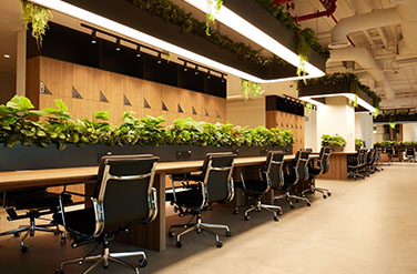 Cushman & Wakefield Core: Why Serviced Offices Are Shaping the Future of Work in the UAE (image)