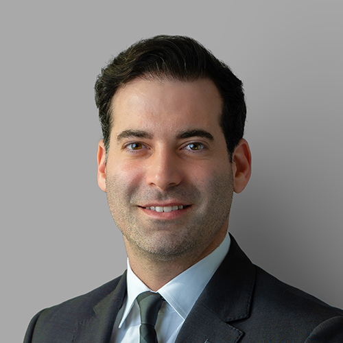 نزار الحكيم