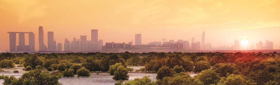 Are Middle East Logistics Assets Prepared for Climate Risks? (image)