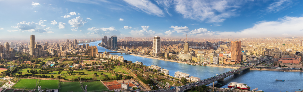 What Occupiers Want: Egypt (image)
